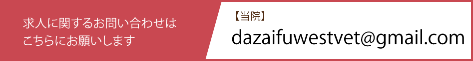 求人に関するお問い合わせは